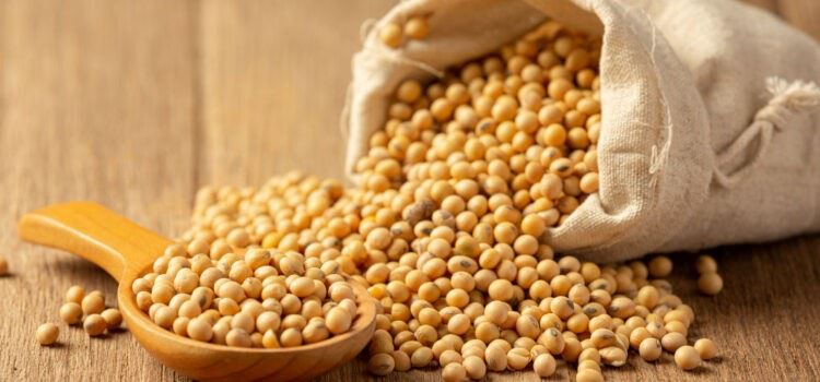 CÁC LỰA CHỌN THAY THẾ ĐẬU NÀNH