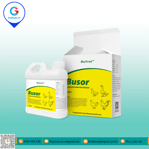 BUSOR HỖ TRỢ GIẢI ĐỘC GAN