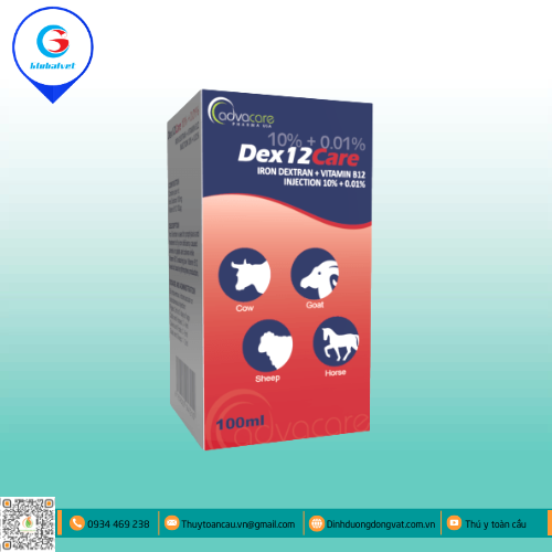 DEX12CARE ĐIỀU TRỊ NGĂN NGỪA THIẾU MÁU DO THIẾU SẮT