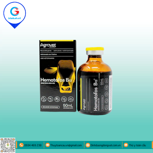 HEMATOFOS B12 HỖN HỢP BỔ SUNG VITAMIN, ACID AMIN CHO VẬT NUÔI