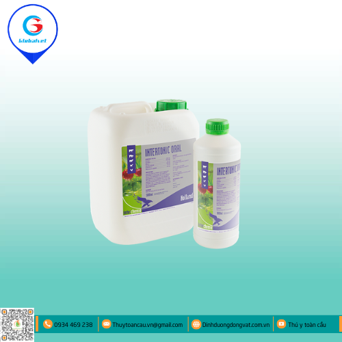 INTERTONIC ORAL  HỖ TRỢ GIẢI ĐỘC GAN
