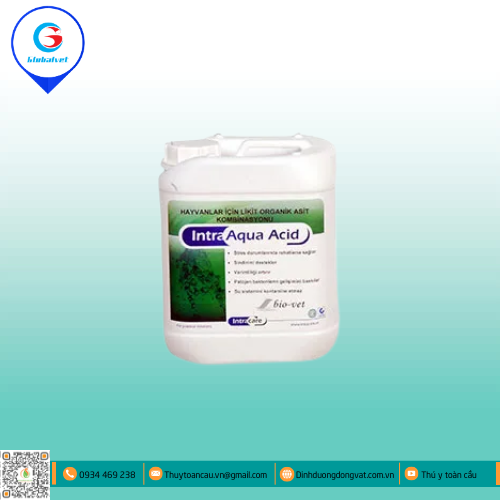INTRA AQUA ACID BỔ SUNG KHOÁNG CHO VẬT NUÔI