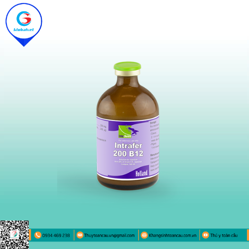 INTRAFER-200 B12 BỔ SUNG SẮT CHO HEO