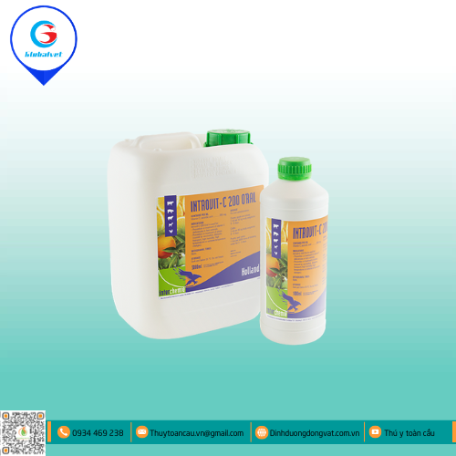 INTROVIT-C-200 ORAL BỔ SUNG VITAMIN CHO VẬT NUÔI