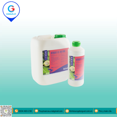 INTROVIT-ES-100 ORAL BỔ SUNG VITAMIN CHO VẬT NUÔI
