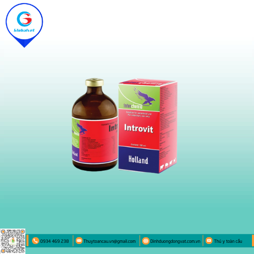 INTROVIT HỖN HỢP BỔ SUNG VITAMIN CHO VẬT NUÔI