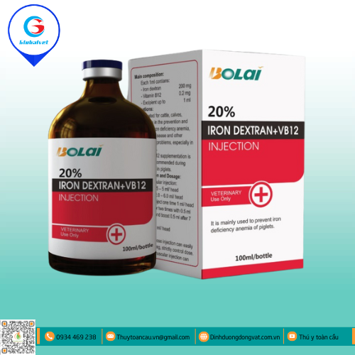 IRON DEXTRAN 20% +VB12 INJECTION NGĂN NGỪA THIẾU MÁU DO THIẾU SẮT