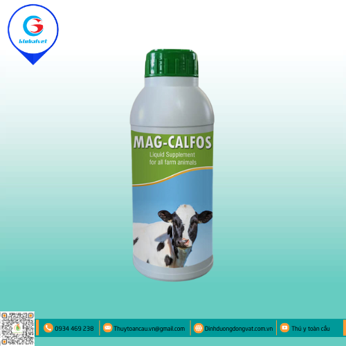 MAG-CALFOS BỔ SUNG KHOÁNG CHO VẬT NUÔI