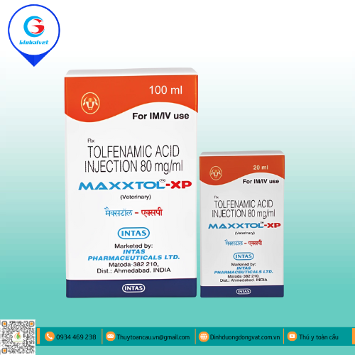 MAXXTOL XP HẠ SỐT KHÁNG VIÊM