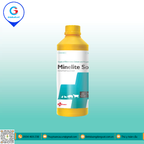 MINELITE BỔ SUNG KHOÁNG CHO VẬT NUÔI