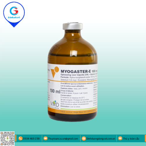 MYOGASTER-E BỔ SUNG VITAMIN E CHO VẬT NUÔI
