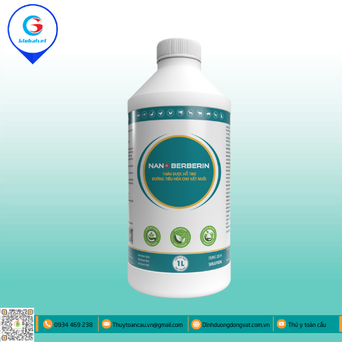 NANO BERBERIN  THẢO DƯỢC HỖ TRỢ ĐƯỜNG TIÊU HÓA CHO VẬT NUÔI