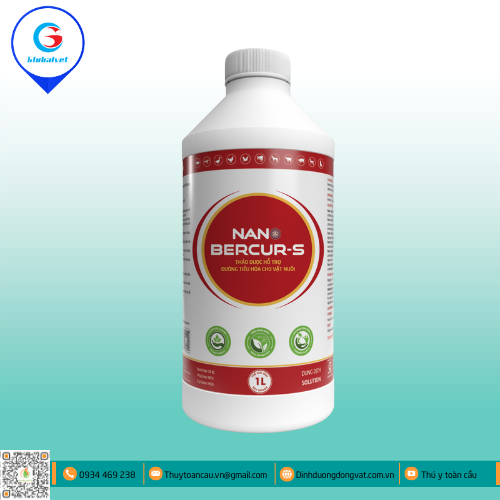 NANO BERCUR-S THẢO DƯỢC HỖ TRỢ ĐƯỜNG TIÊU HÓA CHO VẬT NUÔI
