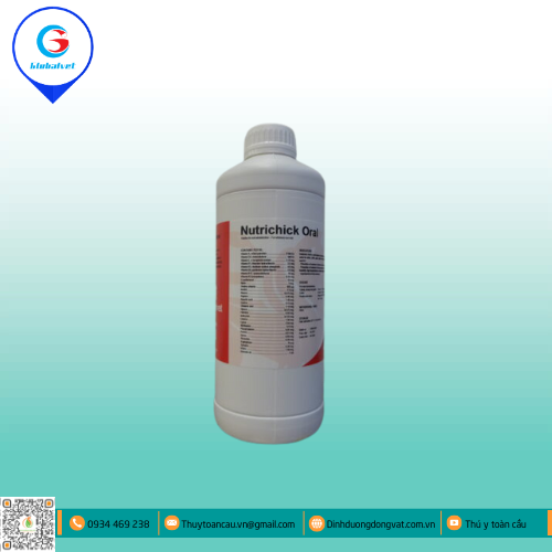NUTRICHICK ORAL HỖN HỢP VITAMIN VÀ ACID AMIN CHO VẬT NUÔI