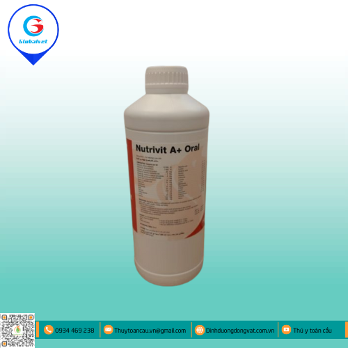 NUTRIVIT A+ORAL HỖN HỢP VITAMIN VÀ ACID AMIN CHO VẬT NUÔI