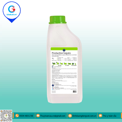 PRODUCTIVE HEPATO - GIẢI ĐỘC GAN THẬN SIÊU TỐC 