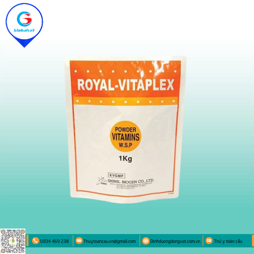 ROYAL VITAPLEX W.S.P HỖN HỢP VITAMIN VÀ ACID AMIN CHO VẬT NUÔI