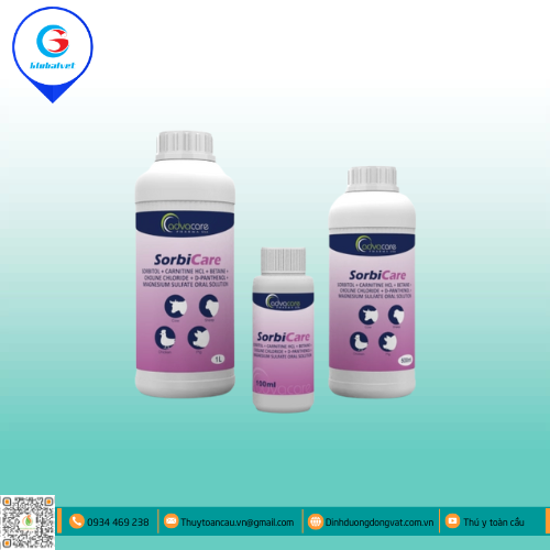 SORBICARE HỖ TRỢ GIẢI ĐỘC GAN