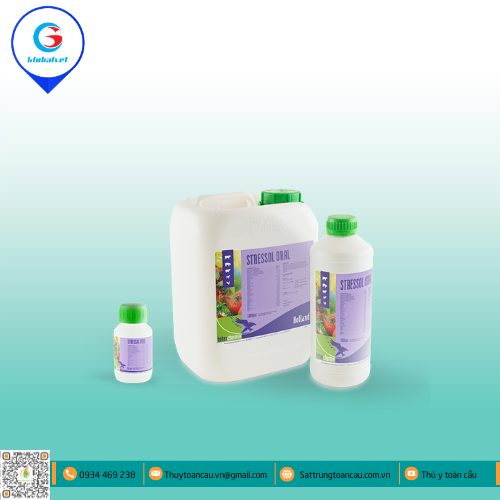 STRESSOL ORAL BỔ SUNG VITAMIN và ACID AMIN CHO VẬT NUÔI
