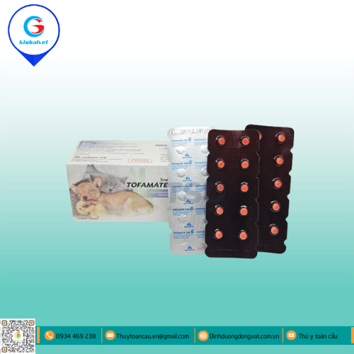 TOFAMATE TAB 6 HẠ SỐT KHÁNG VIÊM