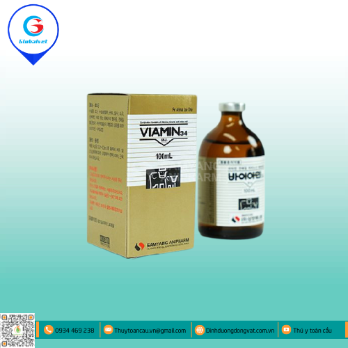 VIAMIN-34 INJ BỔ SUNG VITAMIN CHO VẬT NUÔI
