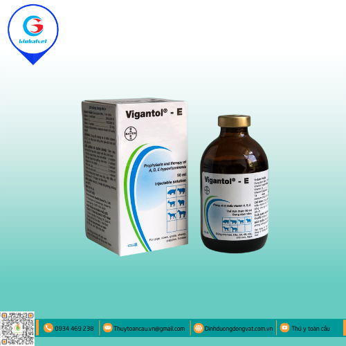 VIGANTOL E HỖN HỢP BỔ SUNG VITAMIN CHO VẬT NUÔI