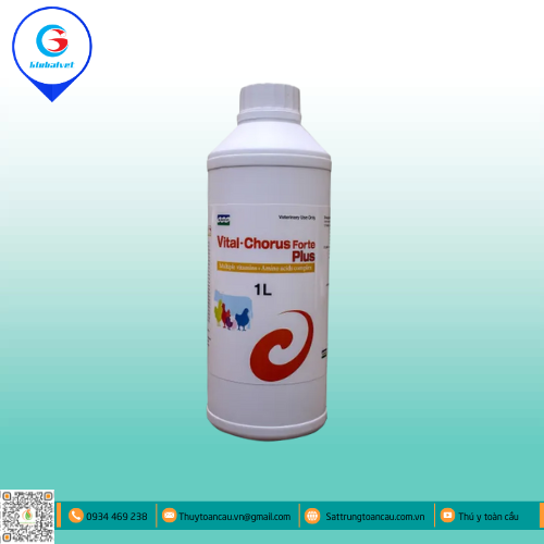VITAL CHORUS FORTE BỔ SUNG VITAMIN CHO VẬT NUÔI