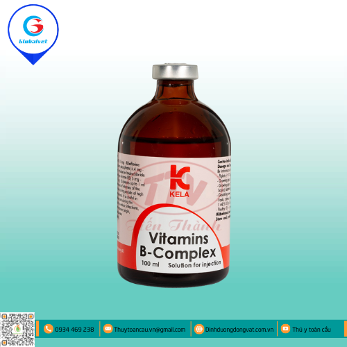 VITAMINS B-COMPLEX BỔ SUNG VITAMIN CHO VẬT NUÔI
