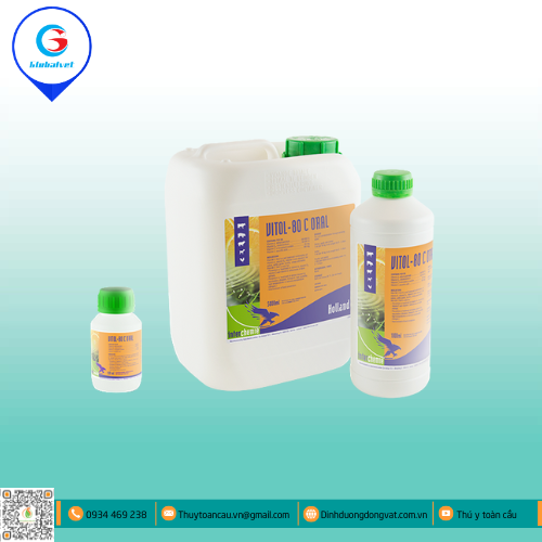 VITOL-80 C ORAL HỖN HỢP BỔ SUNG VITAMIN CHO VẬT NUÔI